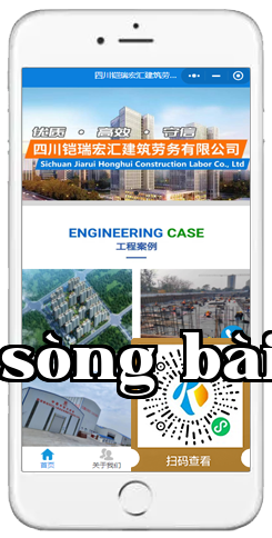 Miên Dương - Giang Liêu Dịch Vụ Lao Động Phần Mềm Mini 1.png